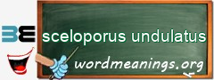 WordMeaning blackboard for sceloporus undulatus